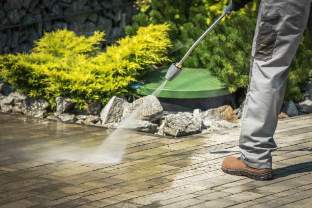 Best Spring Cleaning  in East Vineland, NJ
